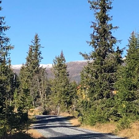 Sykkelhytte Ved Slatten I Synnfjellet Nord Torpa Luaran gambar