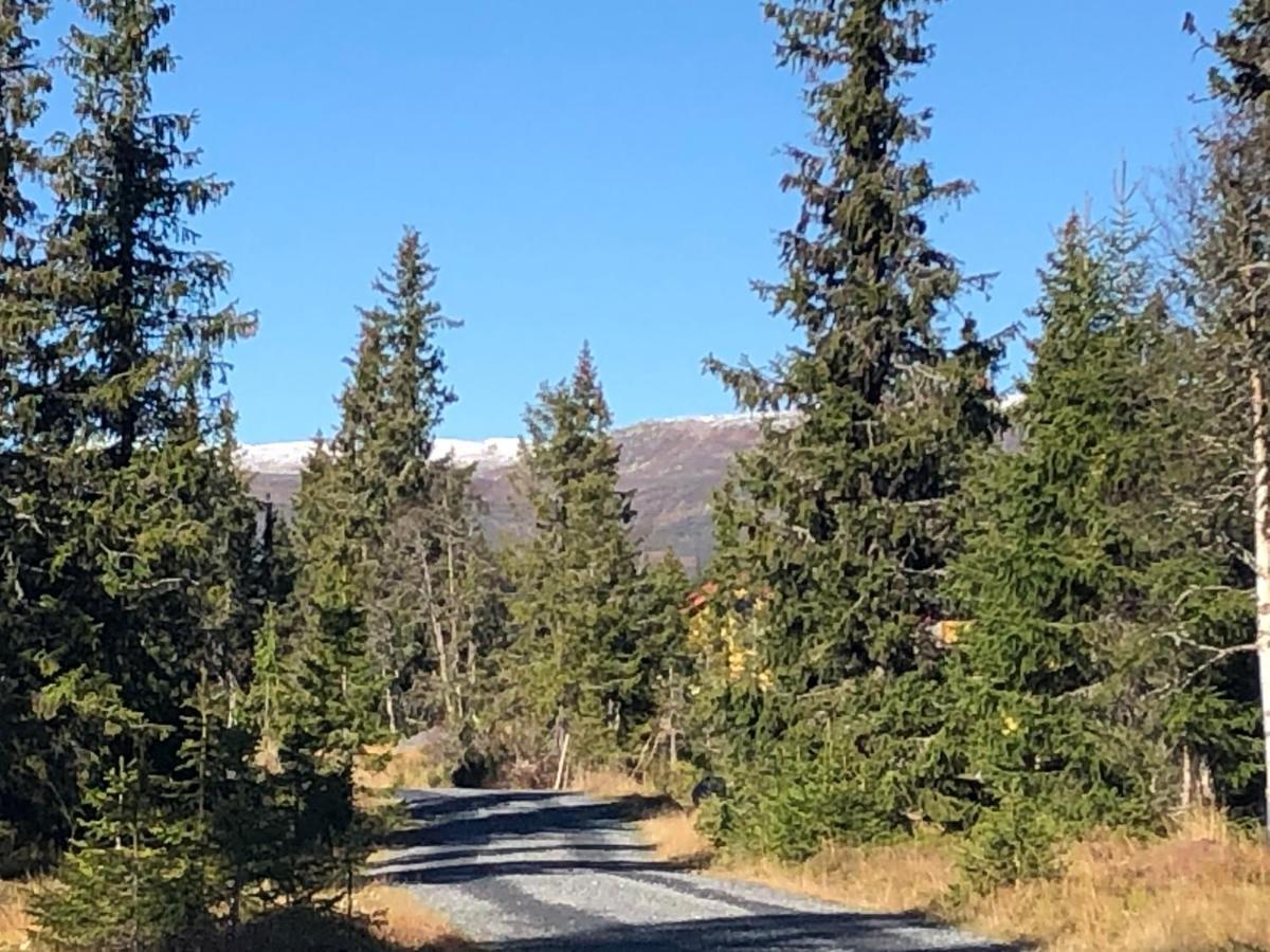 Sykkelhytte Ved Slatten I Synnfjellet Nord Torpa Luaran gambar